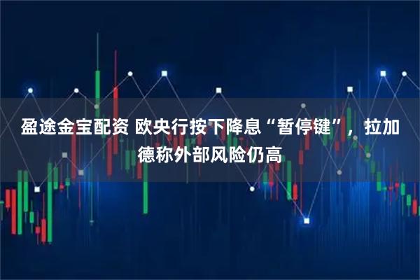 盈途金宝配资 欧央行按下降息“暂停键”，拉加德称外部风险仍高