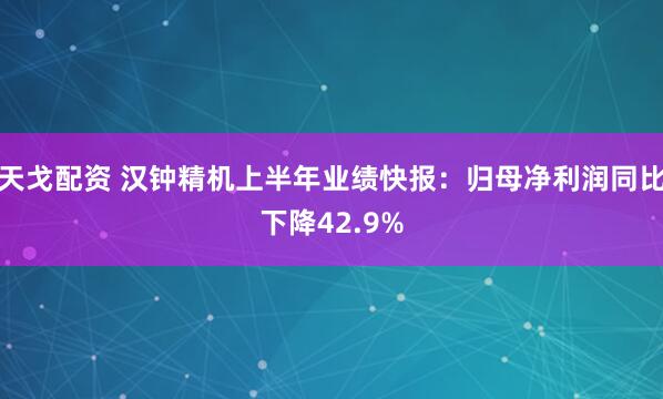 天戈配资 汉钟精机上半年业绩快报：归母净利润同比下降42.9%