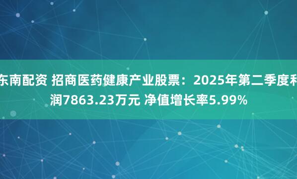 东南配资 招商医药健康产业股票：2025年第二季度利润7863.23万元 净值增长率5.99%