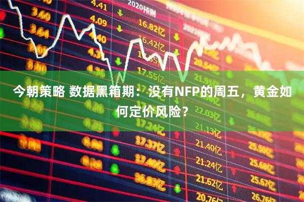 今朝策略 数据黑箱期：没有NFP的周五，黄金如何定价风险？