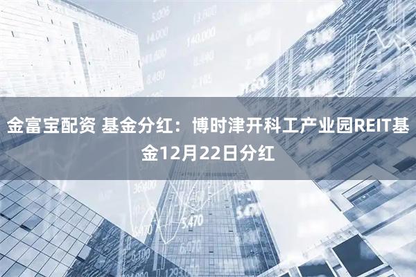 金富宝配资 基金分红：博时津开科工产业园REIT基金12月22日分红