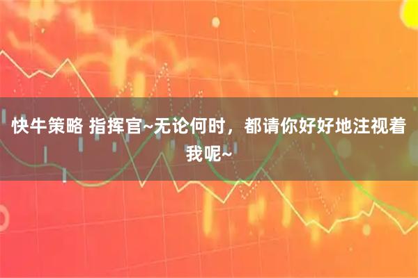 快牛策略 指挥官~无论何时，都请你好好地注视着我呢~